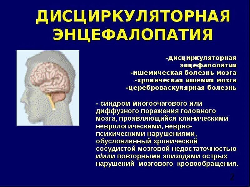 Головные инфекции