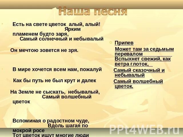 Слова песни появись. Есть на свете цветок алый алый текст. Есть на свете цветок текст. Есть цветок алый алый. Песня есть на свете цветок алый алый.