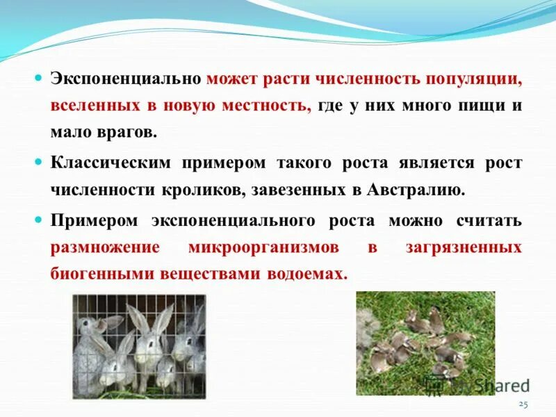 Причины роста численности населения планеты. Численность популяции. Численность популяции увеличивается. Прогрессия в биологии и медицине. Численность популяции увеличивается.