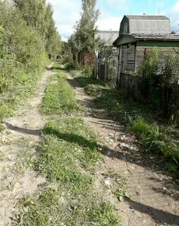 Снопок орехово зуевский погода