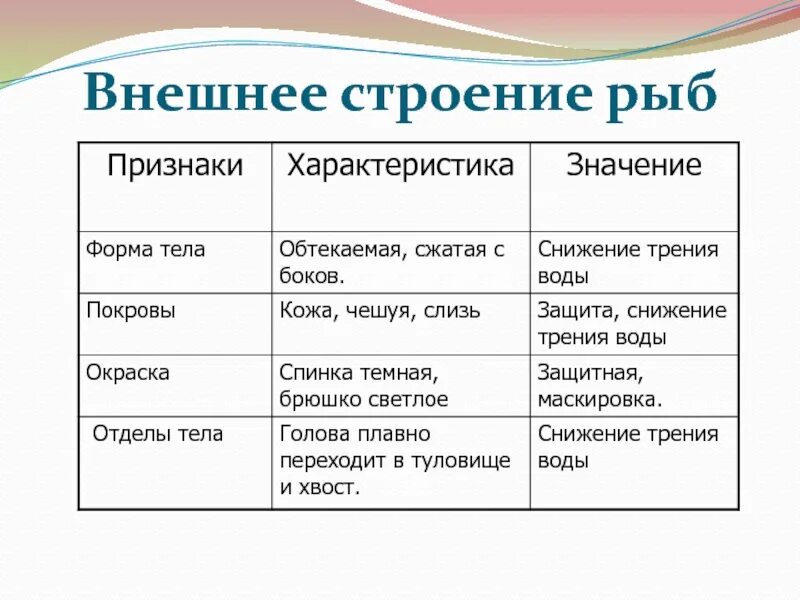 Характеристика классов рыб таблица 7 класс. Внешнее строение рыбы 7 класс биология. Внешнее и внутреннее строение рыб. Лабораторная работа внутреннее строение рыб строение рыб. Особенности внешнего строения рыб.