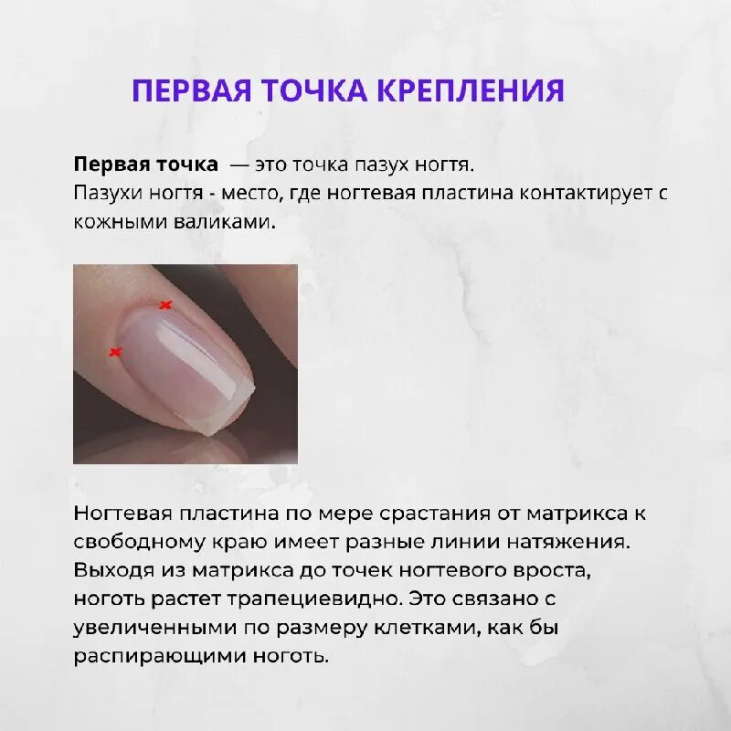 строение ногтевой пластинки. строение ногтя проксимальный валик. строение ногтевой пластины анатомия и физиология ногтей. медиальные и латеральные валики на ногтях. строение ногтевой пластины анатомия.