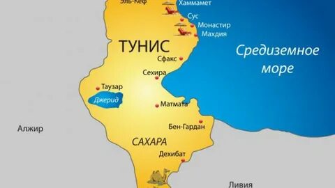 Чей тунис