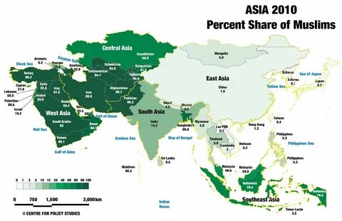 Asia перевод