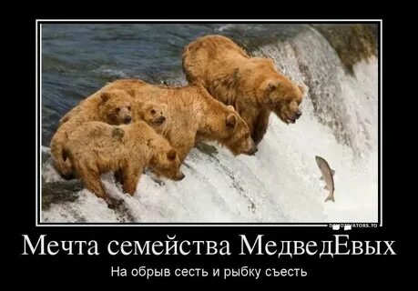 Пословица и рыбку съесть продолжение