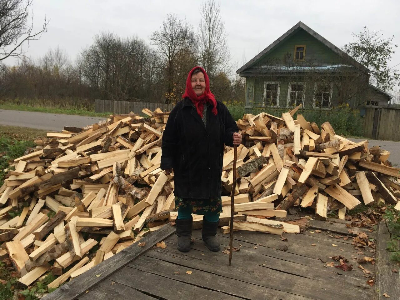 Бабушка с дровами. Бабка с дровами. Заготовка дров. Дрова для пенсионеров.