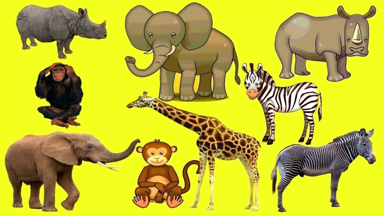 Животные африки старшая группа. Африканские животные. Африканские животные для детей. Животные аырикидля детей. Звери Африки для детей.
