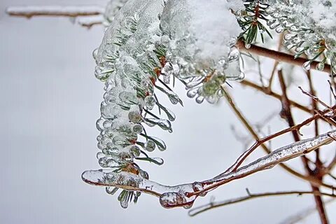 Ледяной дождь ставрополь