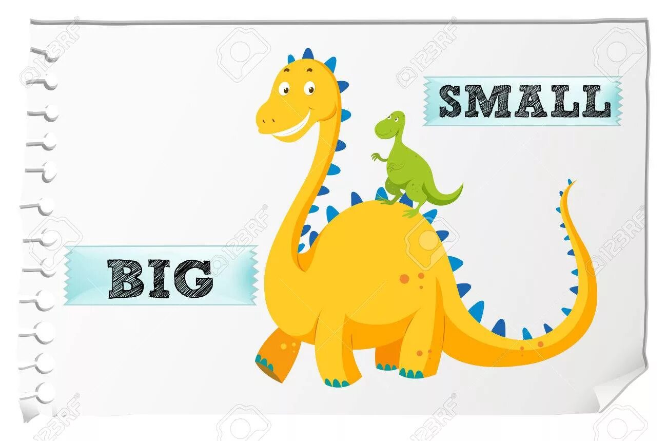 Small big com. Big small. Big small для детей. Английский big small. Карточки opposites.