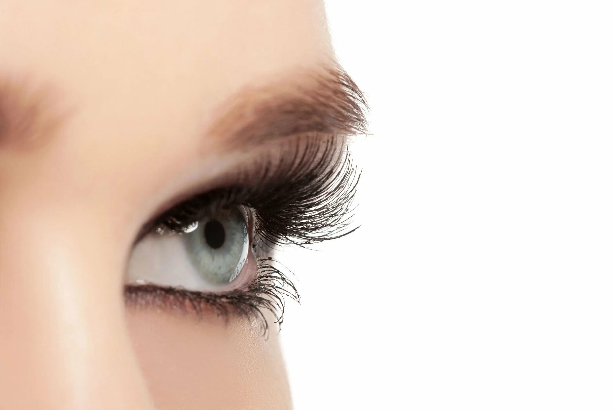 Глаз сбоку. Ресницы сбоку рисунок. Красивые ресницы. Нарощенные ресницы. Брови и ресницы.