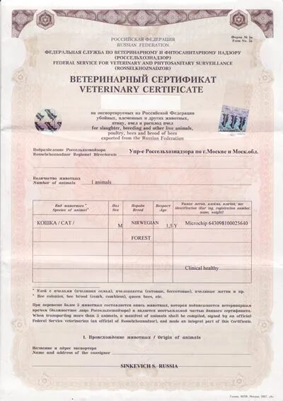 Международный ветеринарный сертификат формы 5а. Международный ветеринарный сертификат формы 5а Марокко. Ветеринарный сертификат № 5. Экспортный ветеринарный сертификат форма 5e. Ветеринарная сертификация