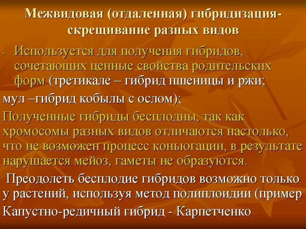 Отдаленная гибридизация. Отдаленная гибридизация используется для. Межвидовая отдаленная гибридизация. Межвидовая гибридизация характеристика. Гибриды как правило бесплодны