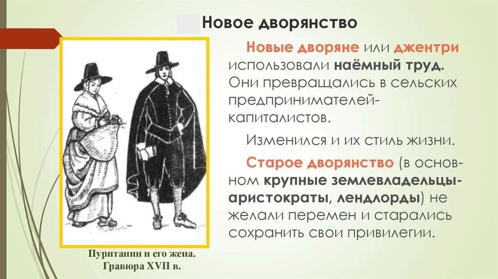 Буржуазия и новое дворянство. Схема дворянства. Требования дворян в 17 веке. Российское общество в петровскую эпоху дворяне. Потомственное дворянство и личное дворянство.