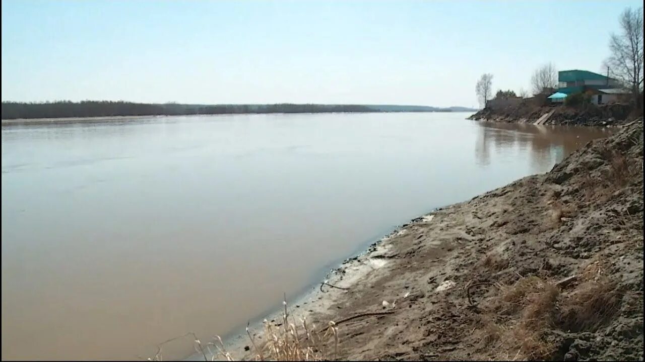 Вода в бии на сегодня. Бия в Бийске. Уровень воды река Бия Бийск. Уровень воды в р Бия г.Бийск. Город Бийск река Бия.