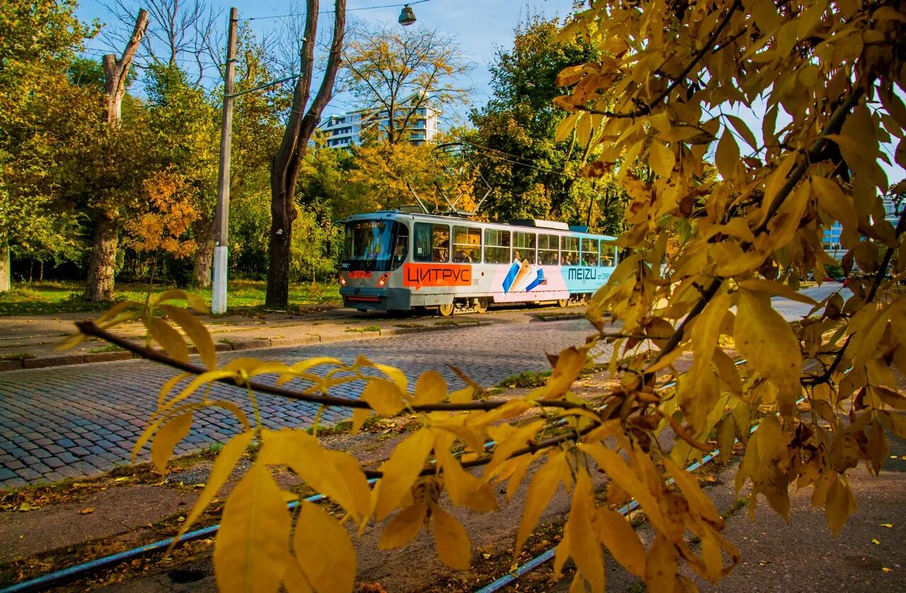 Осень Одесса фото. Осень фото Одесской обл. Погода в Одессе. Одесса погода сегодня фото.