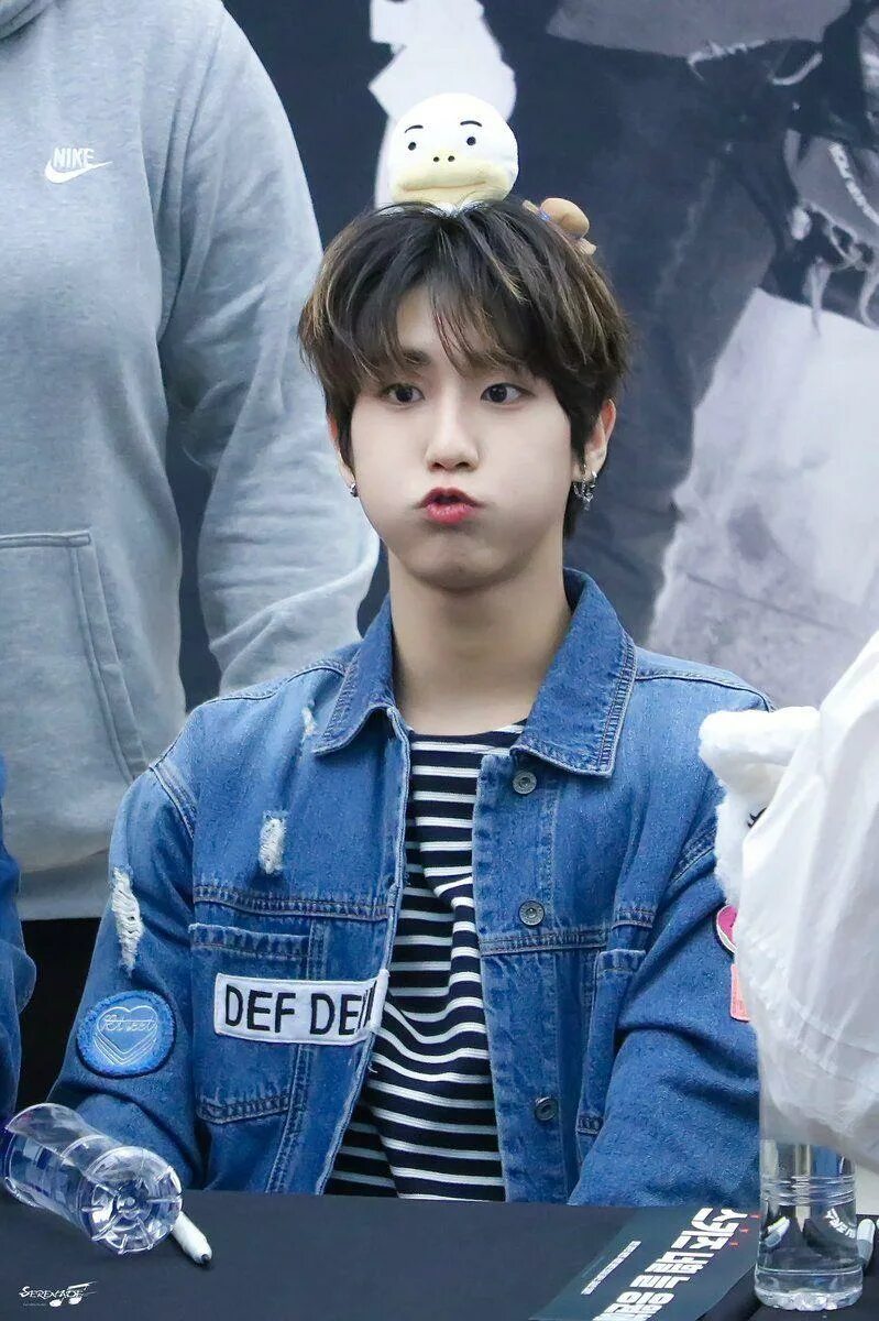 Как зовут хан джисона. Хан джисон. джисон stray kids. хан джисон stray kids. хан джисон 2025.