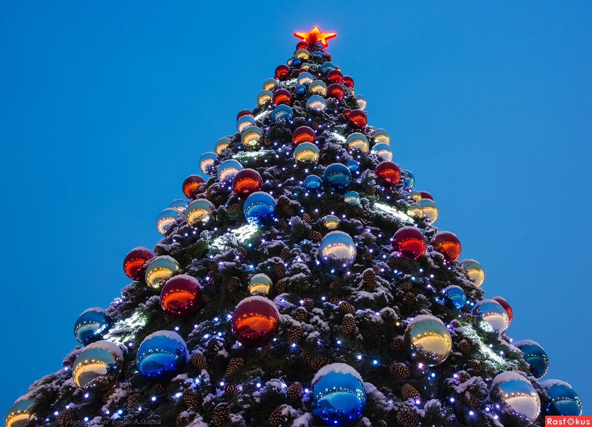 жаны жыл фото