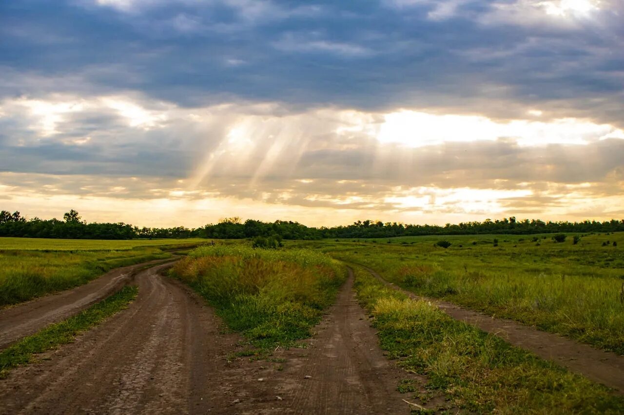 Хутор красный Дон. Красный Кут Ростовская область школа. Красный Кут природа. Красный Кут Ростовская область фото.