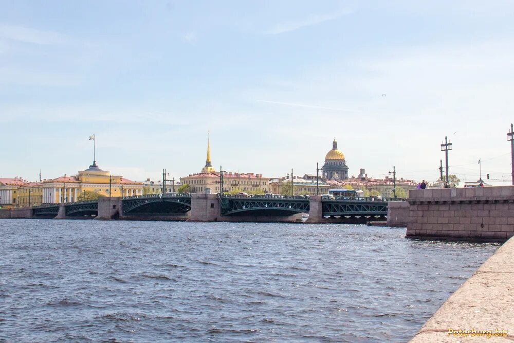 Какое событие связано с дворцовым мостом. Дворцовый мост в Санкт-Петербурге. Санкт Петербург вид с дворцового моста. Дворцовый мост днем. Дворцовый мост плашкоутный Санкт Петербург.
