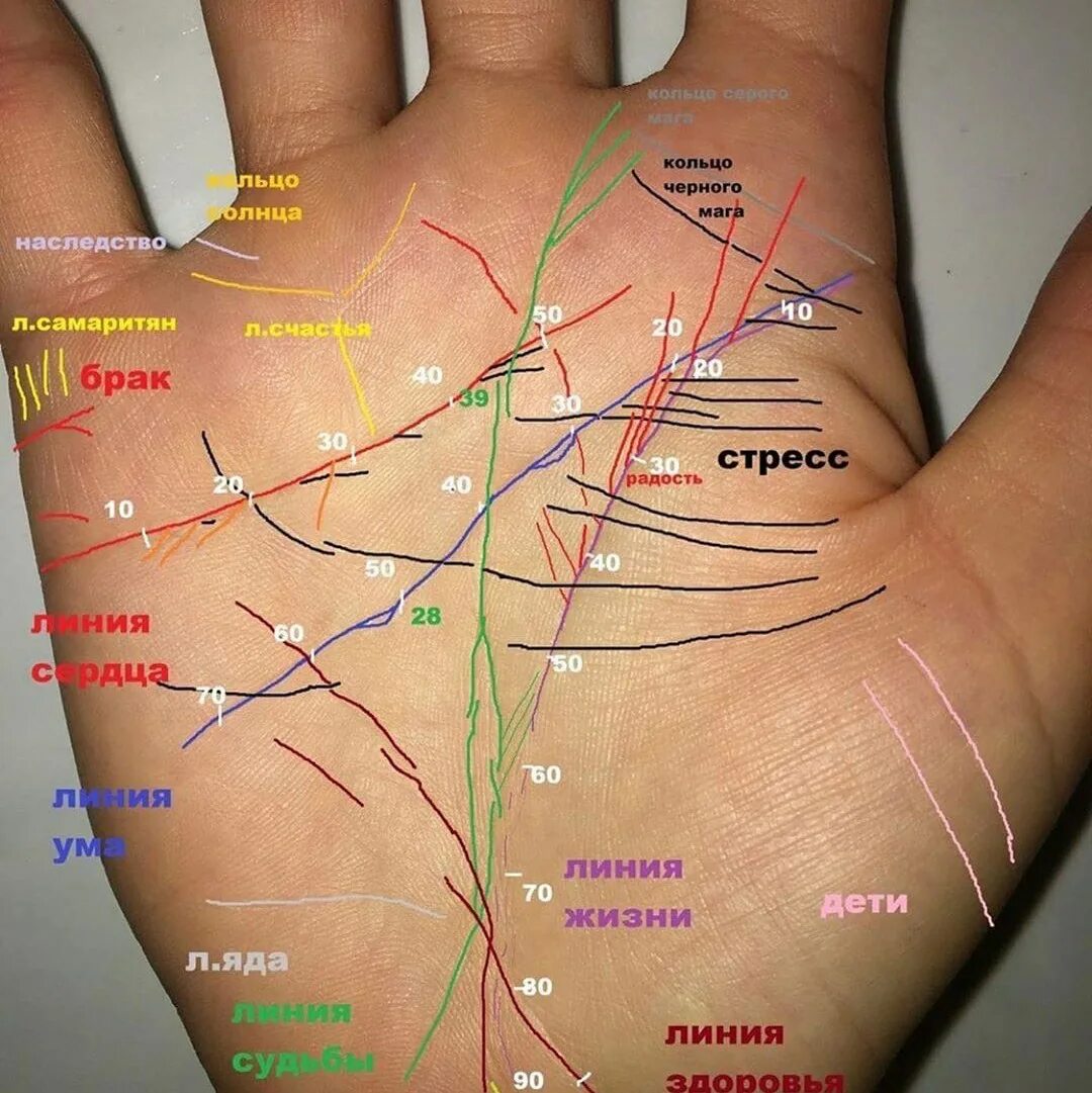 Хиромантия какие линии. Линии на руке. Хиромантия по руке. Линия жизни по руке. Хиромантия линии на ладони.