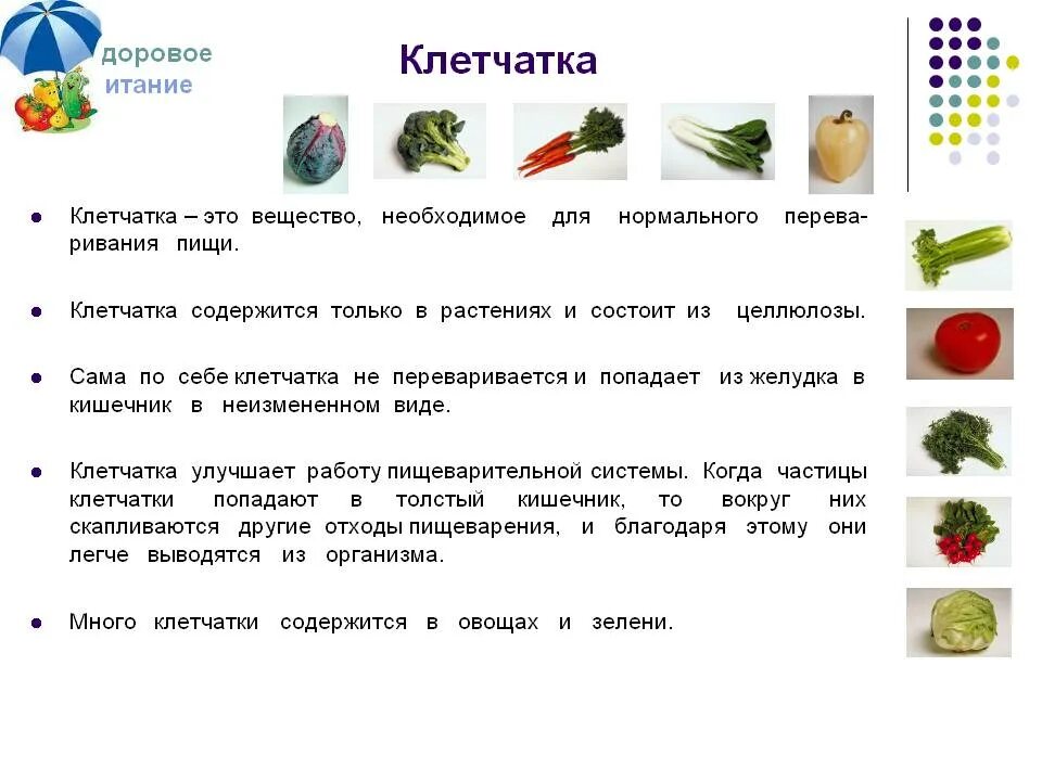 Вещества содержащие клетчатку