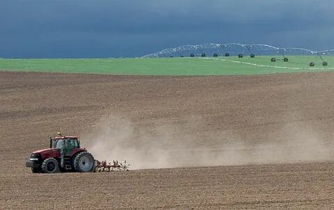 Crop id