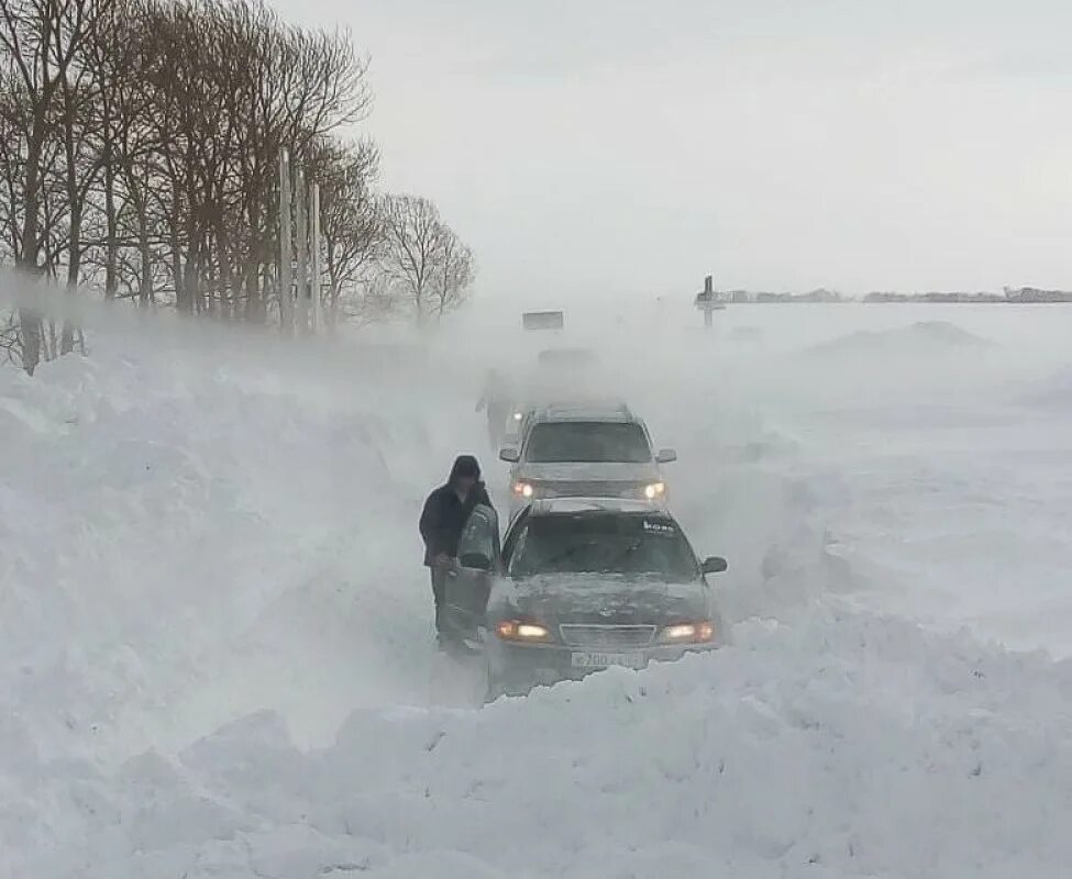 Алтайский край буран. Замело дороги. Сугробы в Алтайском крае. Снег в Алтайском крае. Снежные заносы Бураны.