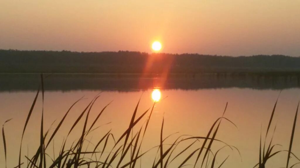 Зорька рассказы. Красная Зорька (Крым). Красная Зорька водохранка. Красная Зорька Симферопольский район. Утренняя Зорька Омск.