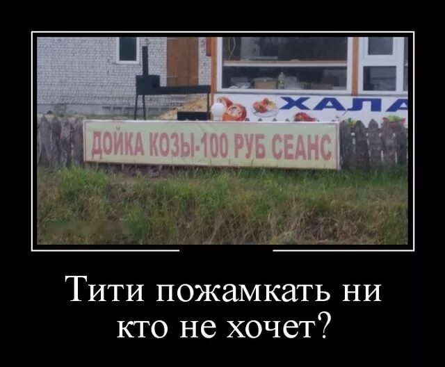 Покажи мне свои ти ти