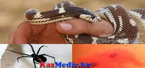 Лили Романың барлық суреттері