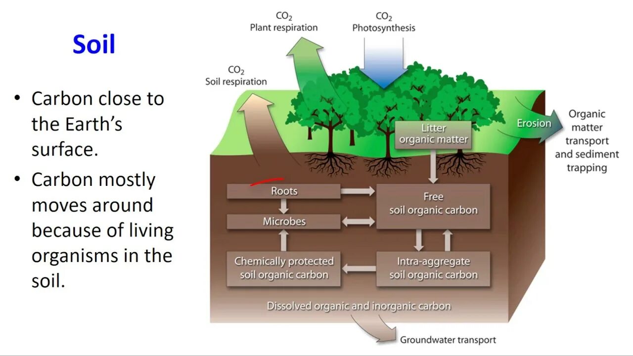 Soil Carbon. Карбон почва. Plant Soil. Organic matter in the Soil.