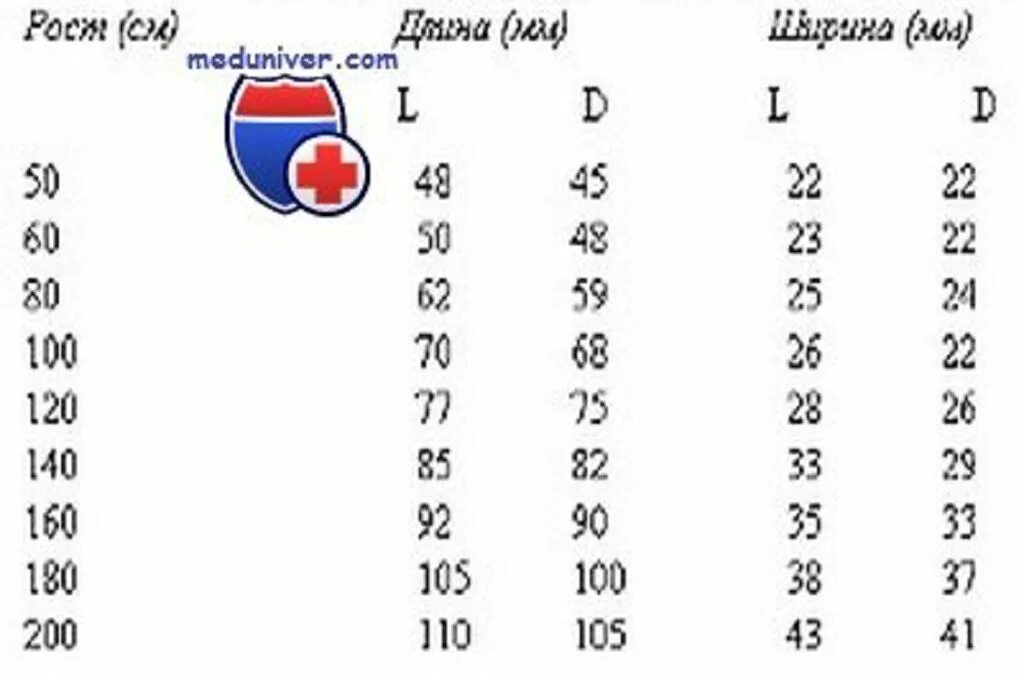 Паренхима почки норма у детей. Нормальные размеры почек. размеры почек в норме по узи. размер почек у взрослых в норме. размеры почечной лоханки в норме по узи.