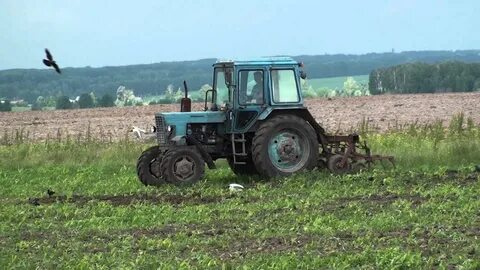 Мтз смоленская область