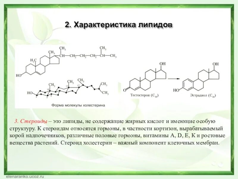 Липида отзывы. Формула стероидов биохимия. Строение стероидов биохимия. Стероидные гормоны это липиды.