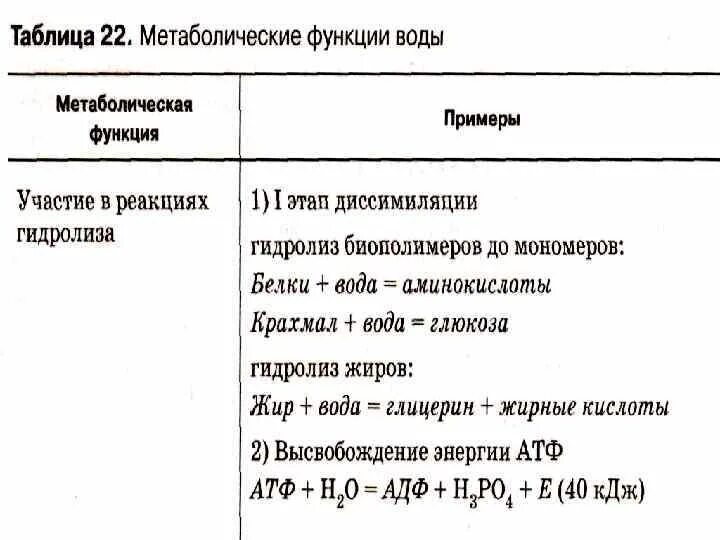 Медленный метаболизм. Эндогенная вода это в биологии. Под метаболической водой понимают. Под метаболической водой понимают. Вода разгоняет метаболизм.