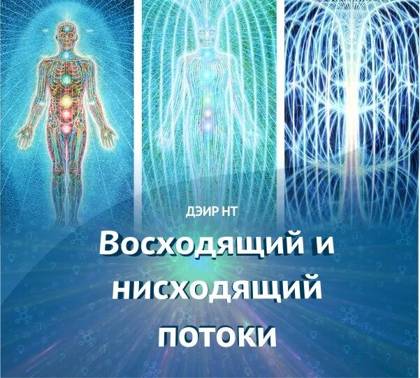 Нисходящий человек. Восходящие и нисходящие потоки энергии. Восходящий и нисходящий потоки энергии. Энергетические потоки. Восходящий и нисходящий потоки энергии в теле человека.