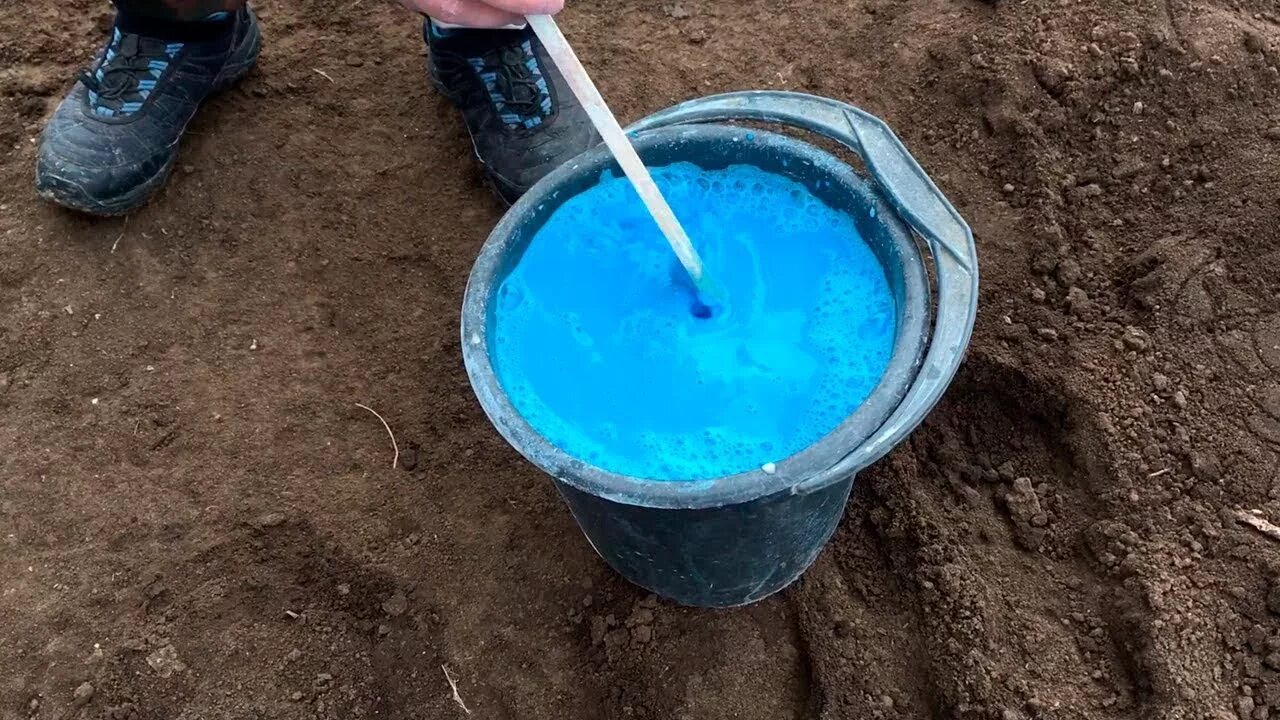 Подкормка медным купоросом кустарников осенью под зиму. Медный купорос пролить землю осенью. Обработка земли медным купоросом перед посадкой. Медный и железный купорос. Извёстка с медным купарозом.