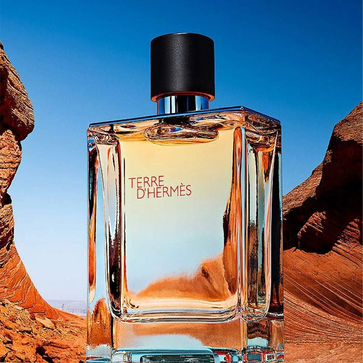 Туалетная вода hermes terre. Terre d'Hermes, 100 ml. Hermes Terre d'Hermes. Hermes Terre d'Hermes 100ml. Hermes Terre d`Hermes EDT 100 ml.