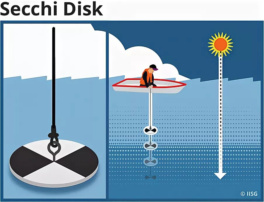 Классы секки. Диск секки для определения прозрачности воды. Диск для измерения прозрачности воды. Белый диск секки. При помощи диска секки измеряют.