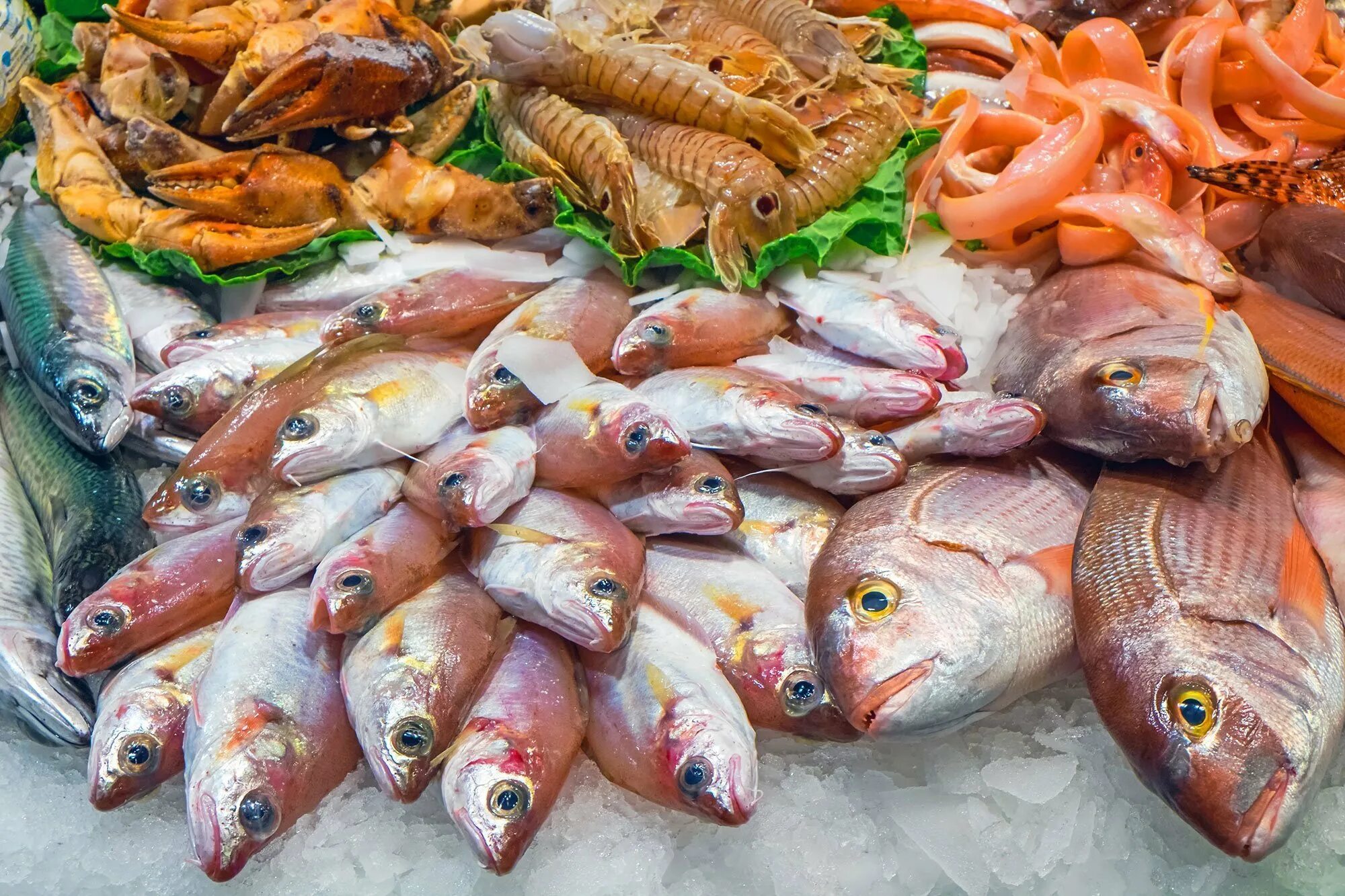 Купить рыбу дорого. Рыба на рынке. Рыба на прилавке. Морская рыба на рынке. Ассортимент морской рыбы на рынках.