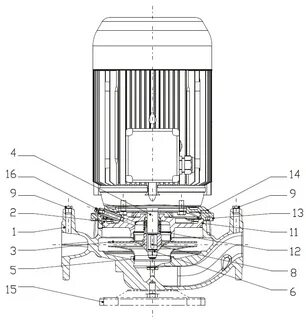 S 25 p
