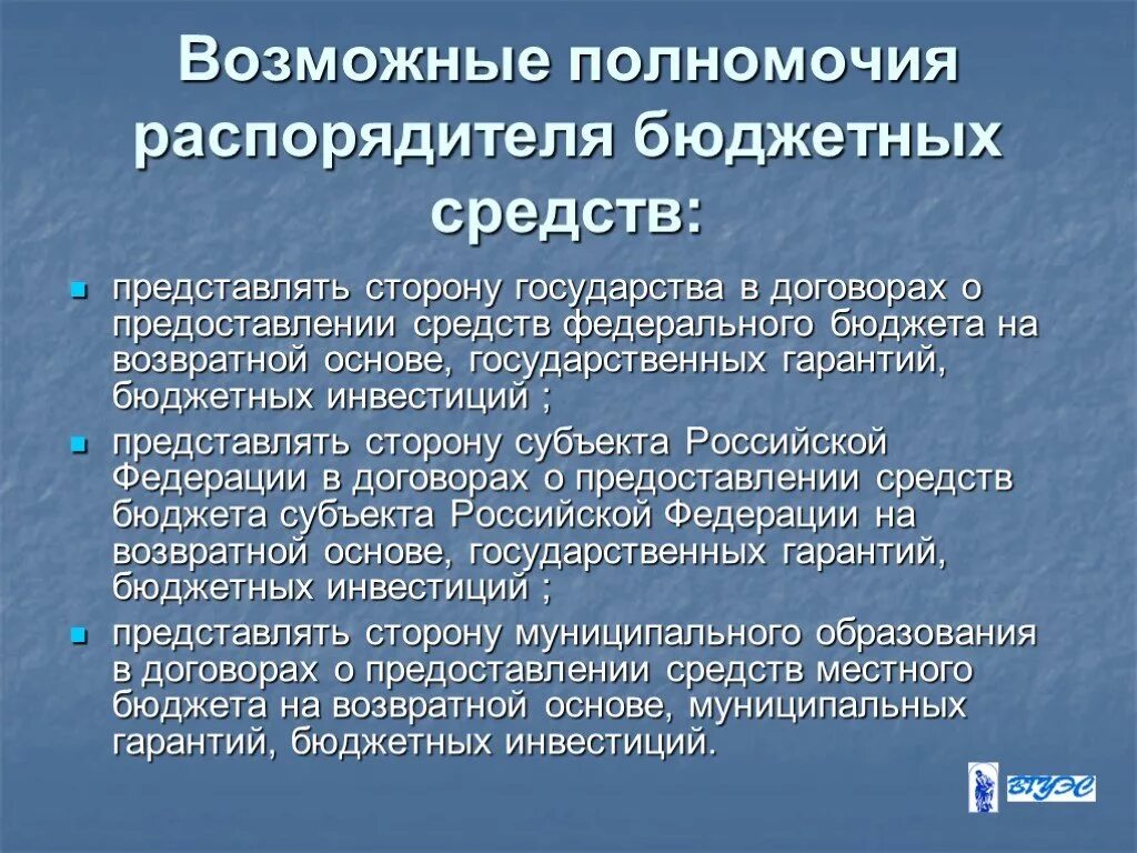 Государственные гарантии субъекта это. Бюджетным средствам, представленным на возвратной основе. Бюджетная гарантия это. Бюджетная гарантия пример. Гарантии бюджетным учреждениям