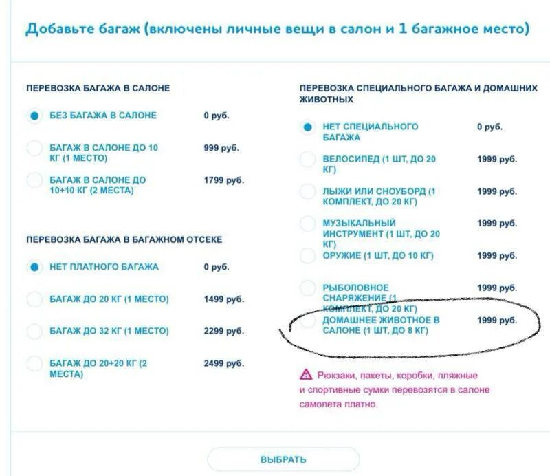 Победа бронирование. Добавить багаж победа. багажное место победа. оплатить дополнительный багаж победа. как добавить багаж в победе.