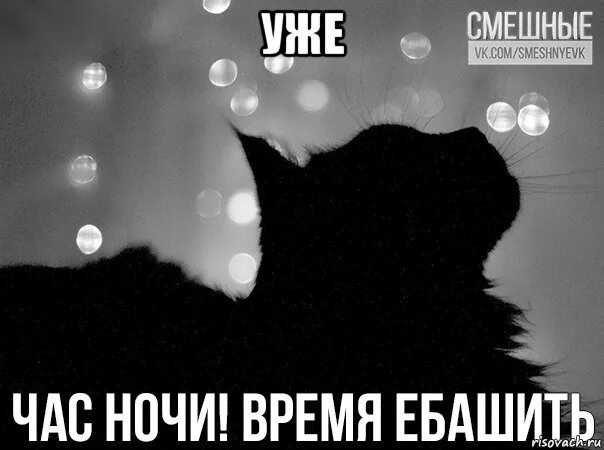 Night meme. Спокойной ночи котик Мем. Мемы с котами спокойной ночи. Милые мемы с котиками спокойной ночи. Пикча с котиком спокойной ночи.