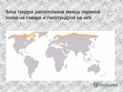 Где расположена тундра 4 класс