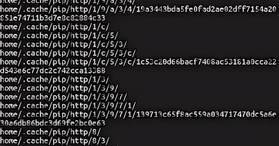 Pip no cache dir. Pip no cache dir