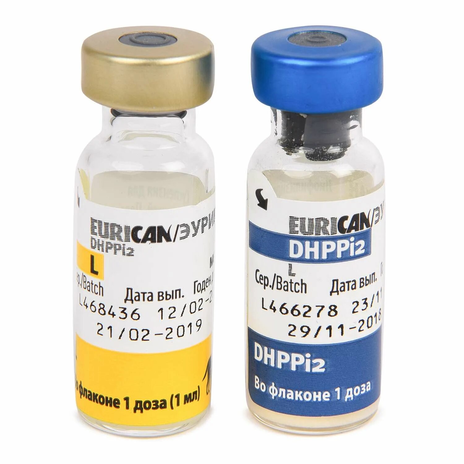 Купить вакцину эурикан в москве. Вакцина Эурикан dhppi2. Эурикан dhppi2 вакцина для собак. Нобивак dhppi2 LR. Эурикан для собак dhppi2.