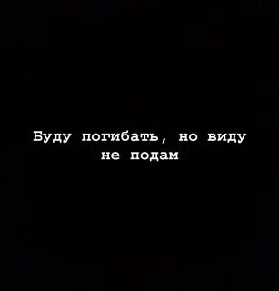 Кайф цитата