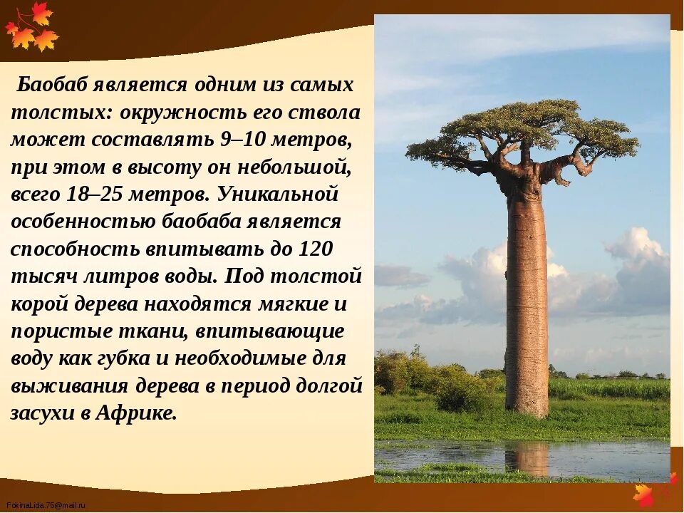 Информация о самых