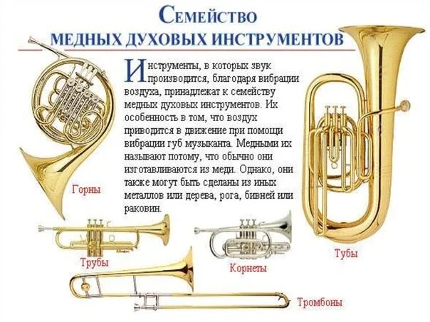 Название духовых музыкальных инструментов. Медные духовые инструменты названия. Альт духовой инструмент амбушюрные духовые музыкальные инструменты. Духовые медные труба валторна тромбон труба. Медные духовые инструменты названия.